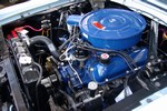 Mustang 25